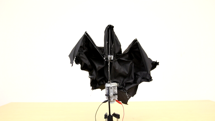 bat_umbrella