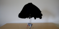 thumb-jelly_umbrella